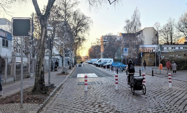 Miscelánea
