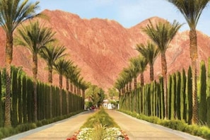 Heaven awaits, the beautiful drive into La Quinta resort!