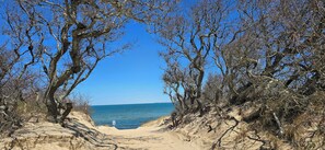 Walk to the beautiful First light Bay beach
