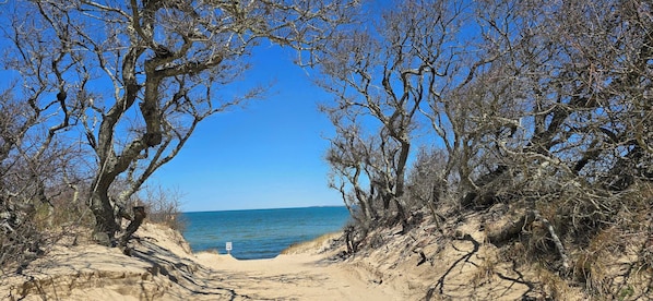 Strand