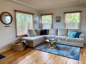 Sectional Couch & Fold Out Queen Bed