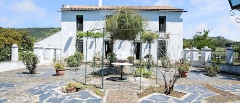 Terassi/patio