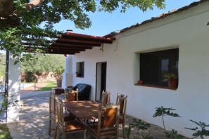 Terrasse / Balkon
