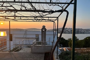 terrace