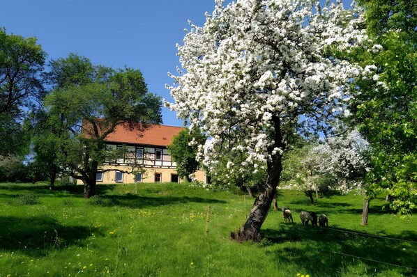 Außenbereich