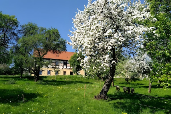 Außenbereich