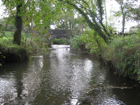 Our river