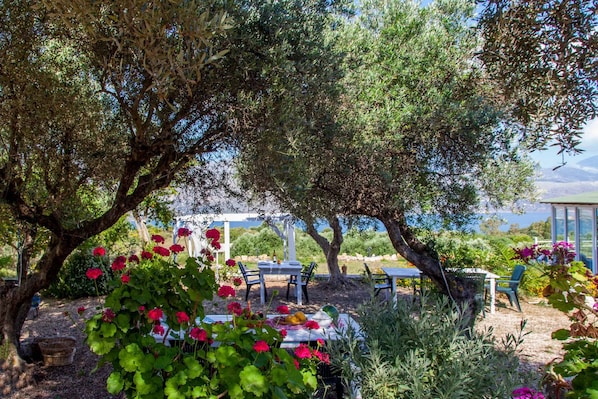 Garden space - Interior of the room