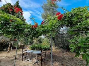 Garden space - View of the exterior