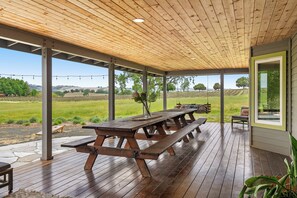 The back patio with Vineyard vies