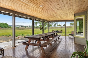 The back patio with Vineyard vies