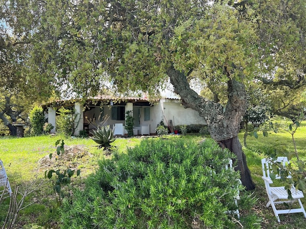 Extérieur