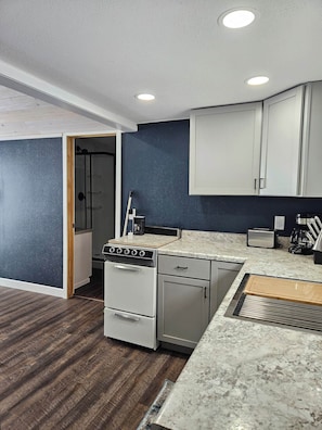 Well equipped kitchen with gas stove