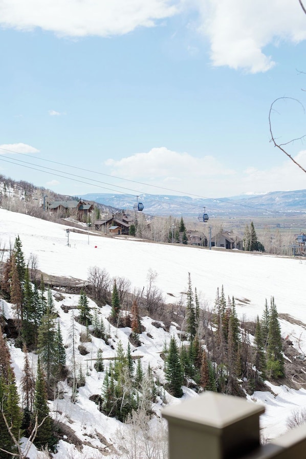 Deportes de invierno y ski