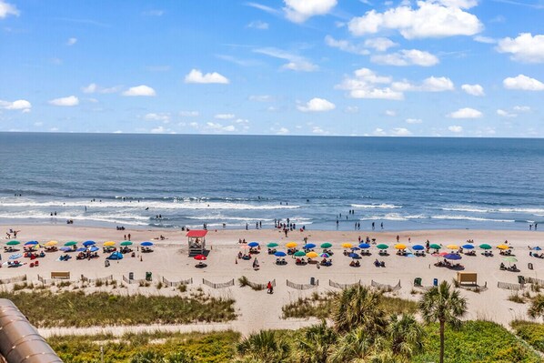“The view of the ocean was absolutely stunning and made our time there even more special.” – Beckham
Come see what makes Lil' Salty so special.