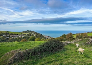Foxglove - Lynmouth Holiday Retreat, Lynton