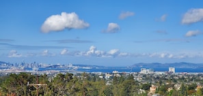 View from Living Room