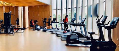 Palestra
