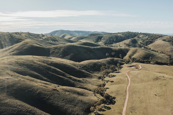 Welcome to our working Historical Merino property.