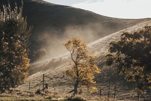 Welcome to our working Historical Merino private property 