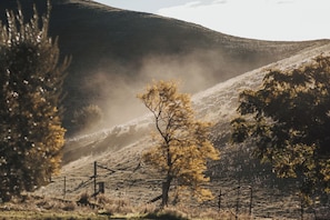 Welcome to our working Historical Merino private property