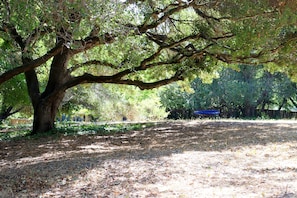 Embrace the outdoors in our spacious and private backyard haven