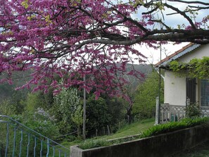 Boendeområde