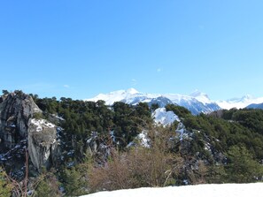 Winter view