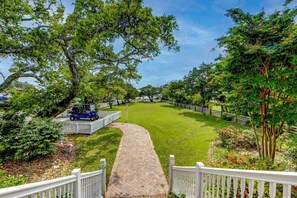 Front Yard
