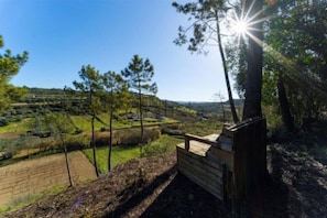 Vista desde la propiedad