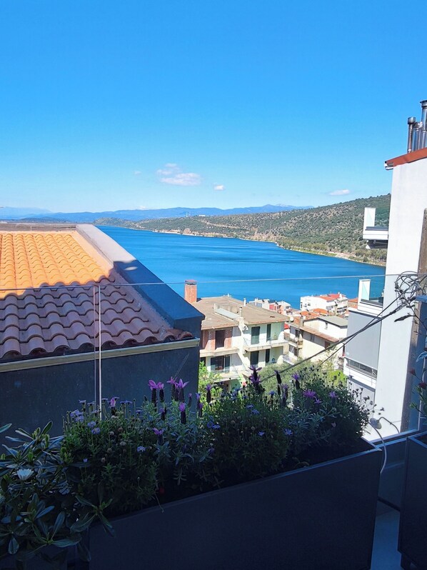 View from balcony