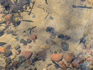 Clear Lower Kaubashine Lake Water