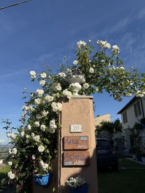 Detalj exteriör