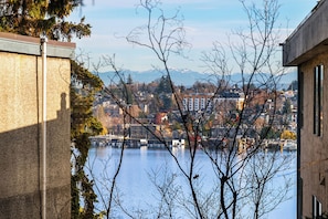 View from house
