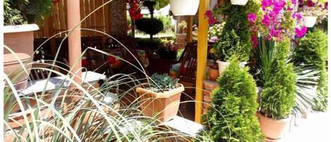 Terrasse/gårdhave