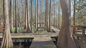 Cassine Village Grounds & Amenities
