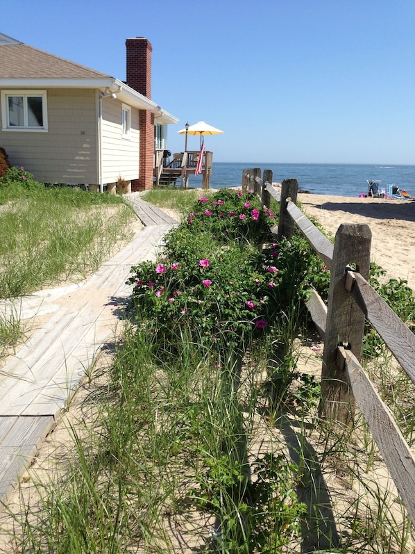 Strand