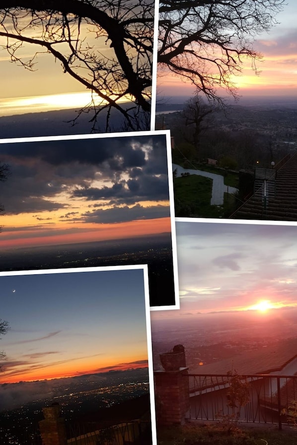 Miscellaneous