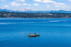 View of not just the water, but Olympic Mountain Range as well.