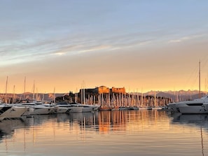 Marina
