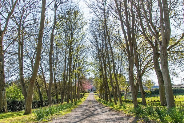 L'entrée du gîte