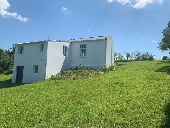 Exteriör