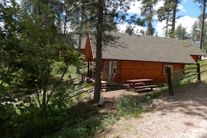 23420pic20nic20area
