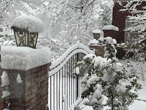 Winter in Memphis
