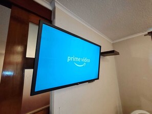 Television