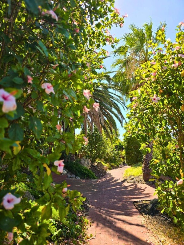 Set among the trees, stroll through the beautiful hidden garden to your home away from home :) 