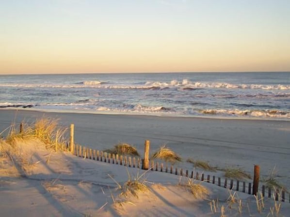 Strand