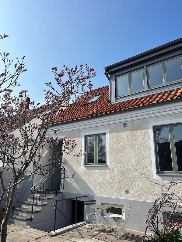 Exteriör