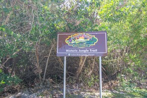 Jungle Trail