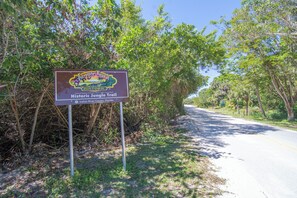 Jungle Trail